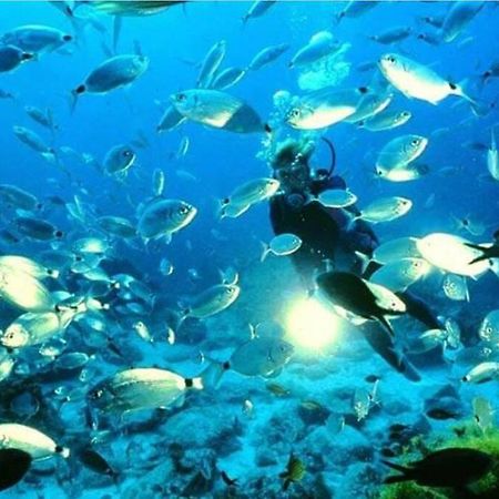 Bajo Playazo Jimena 6 Daire Nerja Dış mekan fotoğraf